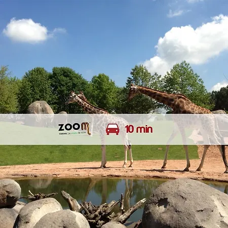 Glicini ピネローロ