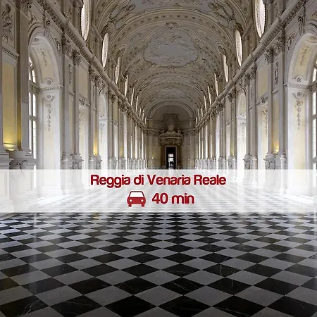 Glicini ピネローロ